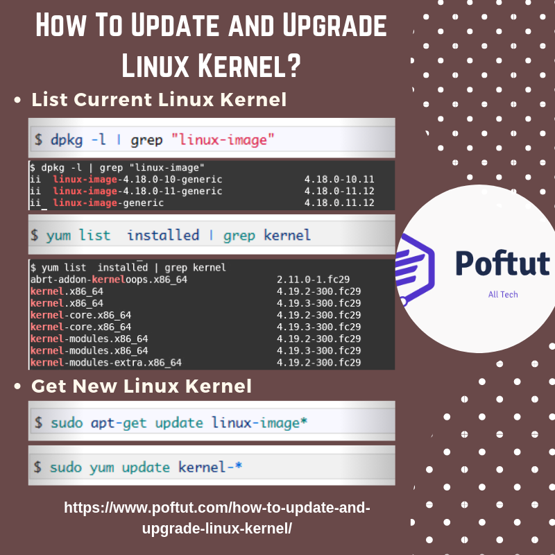 How To Update and Upgrade Linux Kernel? Infografic