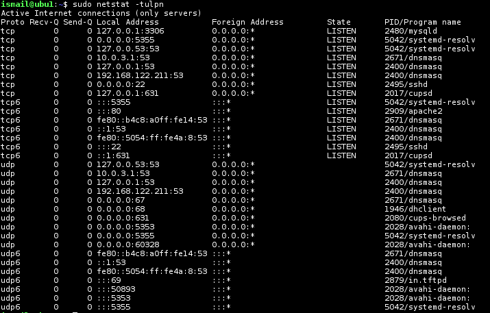 Check Ports With Netstat