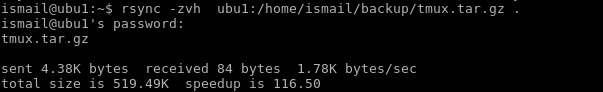 Copy/Sync File From A Server