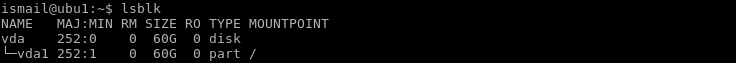 Print Block Device/Disk Information