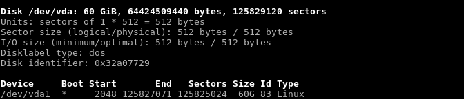 Print File System Information