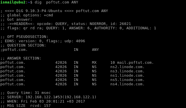 Query All DNS Records Types