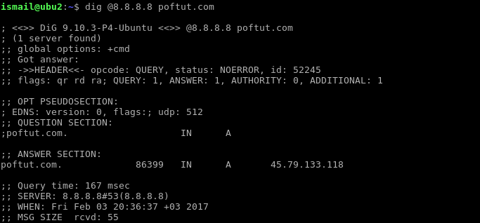 Set Specific DNS Server