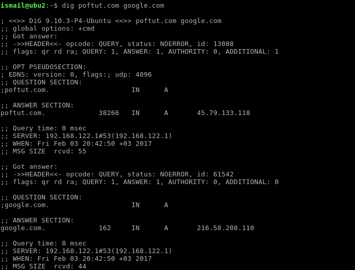 Multiple DNS Look-up