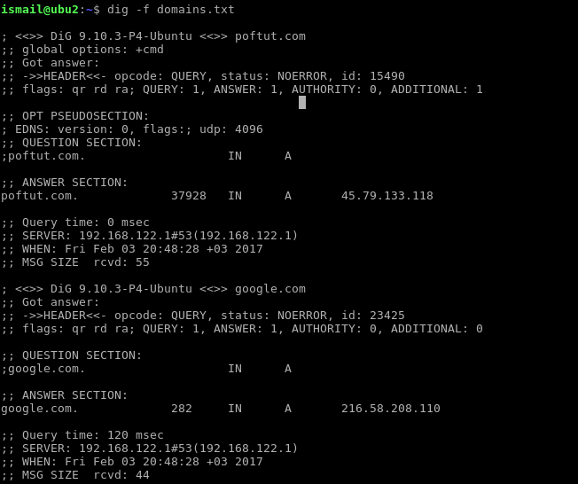 Bulk DNS Look-up