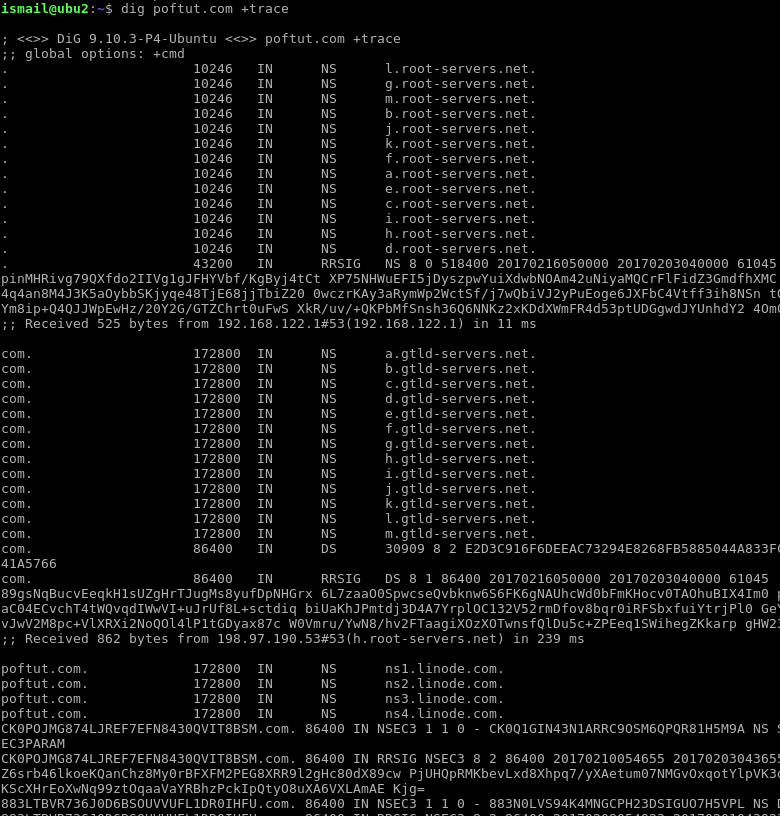 Trace DNS Path