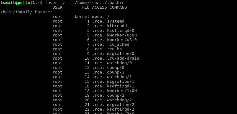 Display Processes Using File System