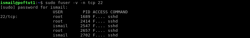 Display Processes About TCP and UDP Sockets