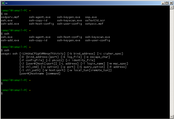 Run Ssh With Cygwin