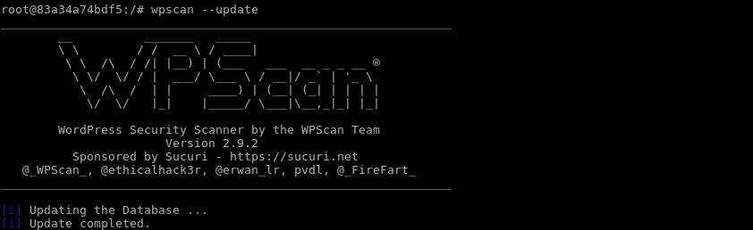 Update Wpscan Explicitly