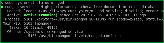 如何使用Mongodump工具转储Mongodb并举例说明-yiteyi-C++库