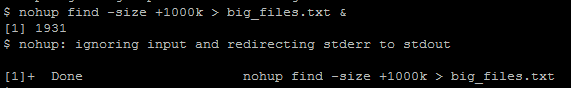 Find Nohup Example