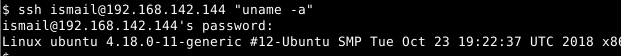 如何使用SSH在远程服务器上运行Shell脚本或命令-yiteyi-C++库