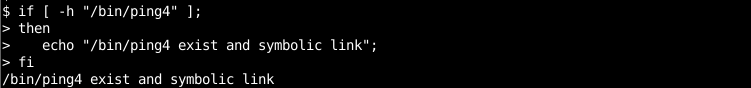 Check If A Softlink Exist